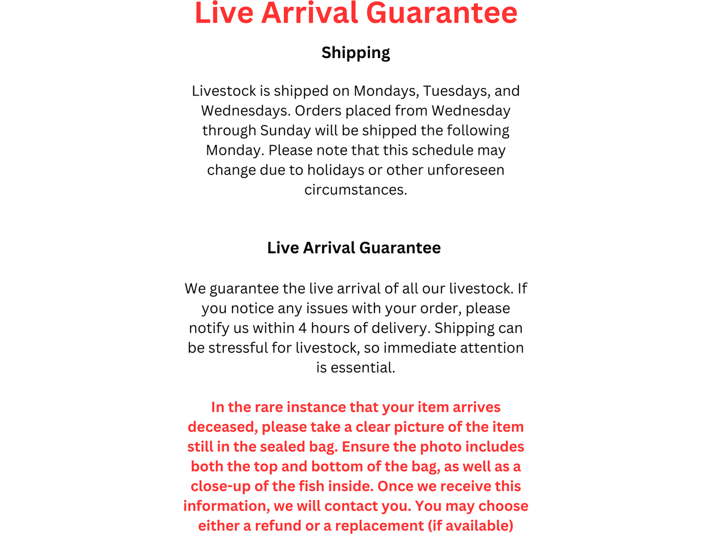 One Virginiae Cory Catfish Approx 1" T74