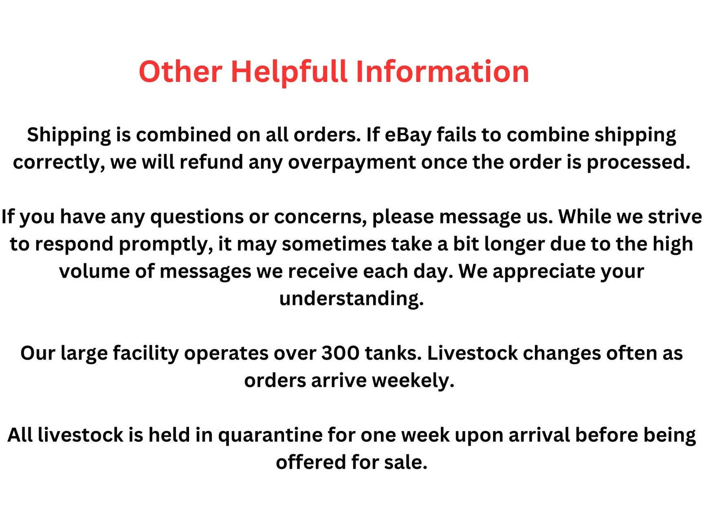 One Dojo Loach Approx 5-6"