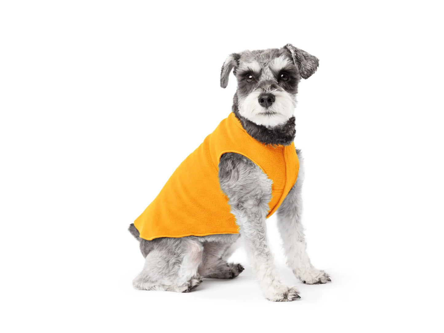 Goldpaw Stretch Fleece - Cheddar size 6