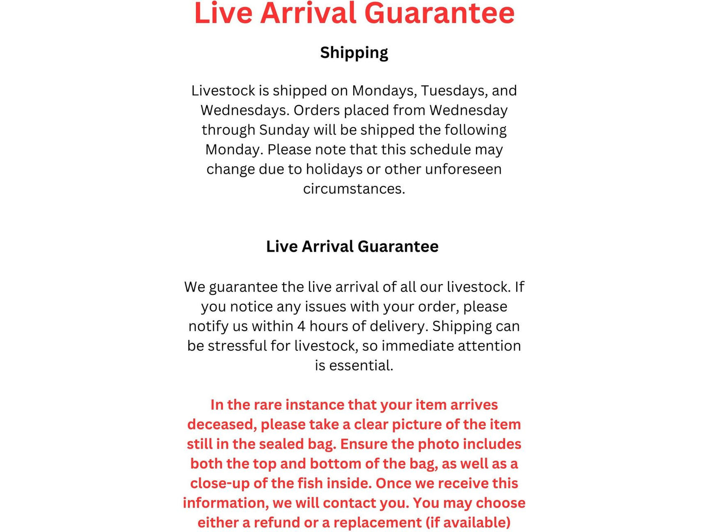 Tricolor Borneo Crab (Vampire) - Freshwater (Lepidothelphusa)