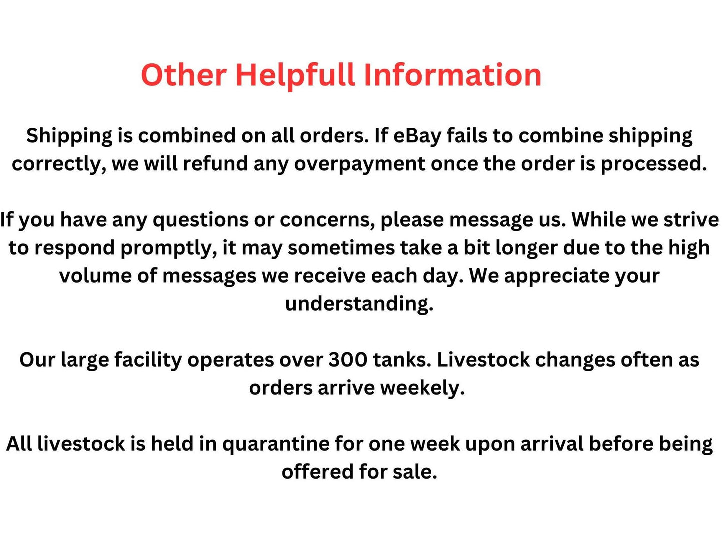 One Peacock-Eel (No-Stripes) Freshwater 4-5” T91