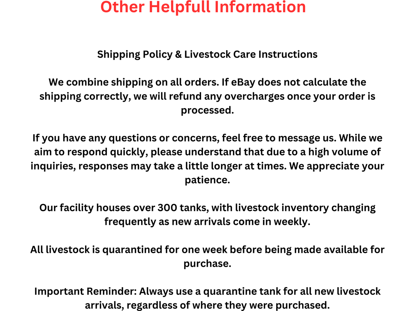 One African Butterfly Fish Approx 2-2.5” T91