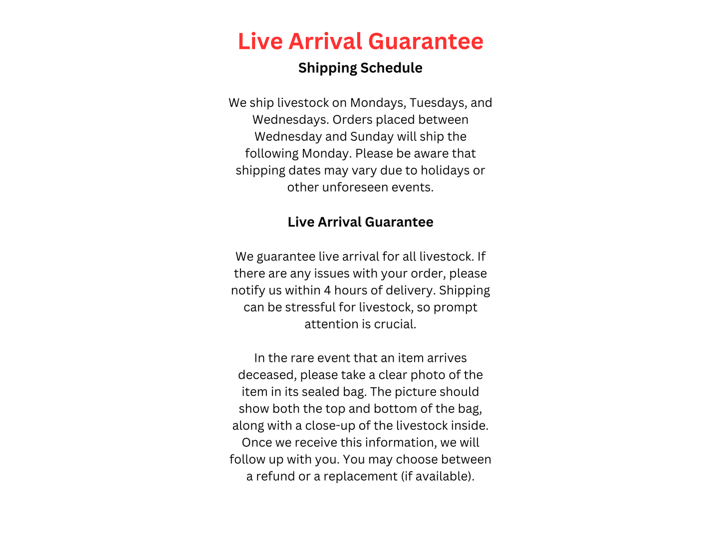 One Peru Black Semiaquilus Cory Approx 2.5"