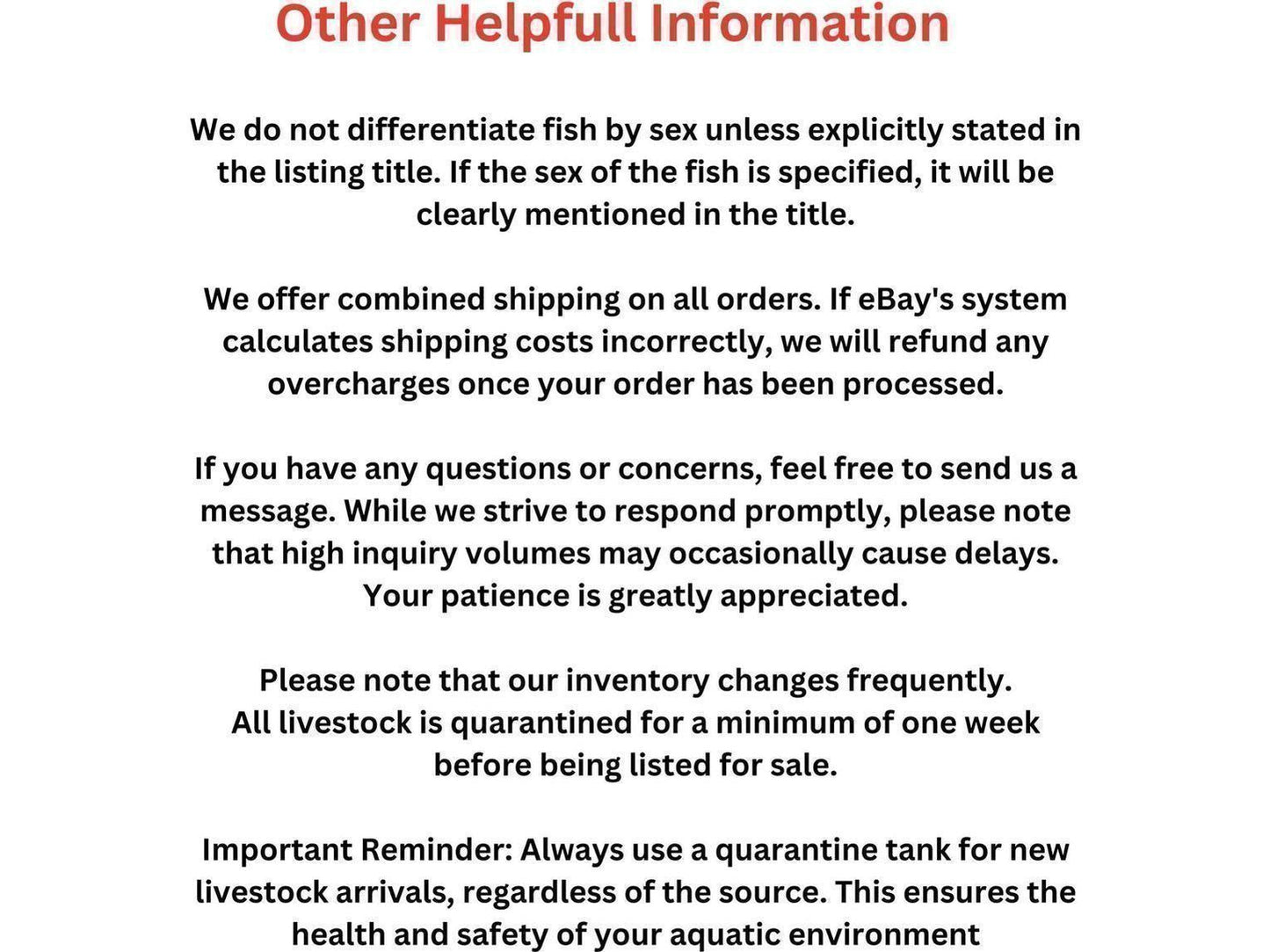 One Bubble Eye Goldfish Approx 2-3”