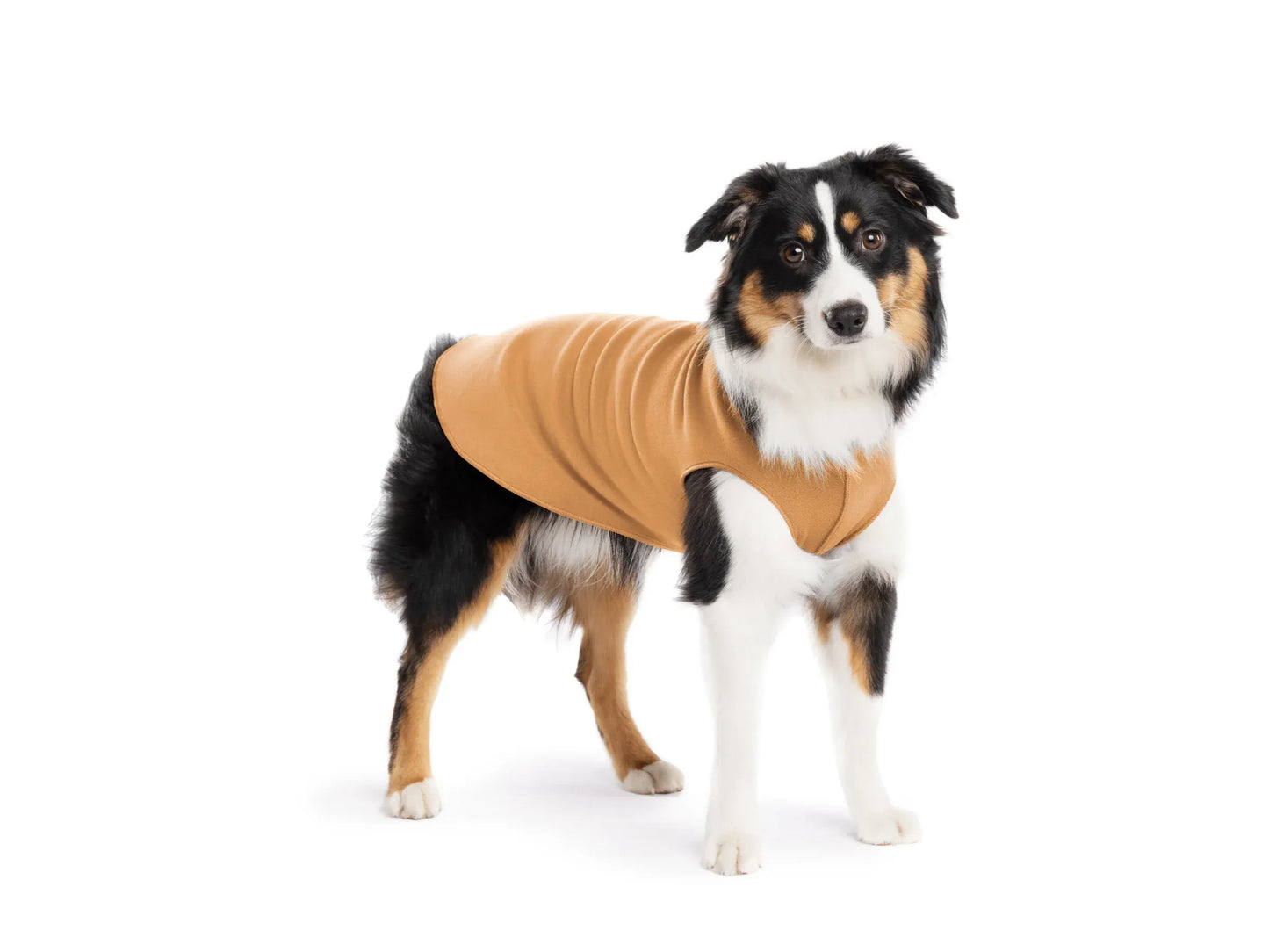 Goldpaw Stretch Fleece - Chipmunk size 8