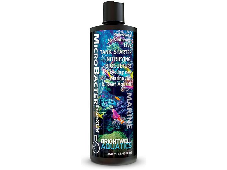 Brightwell Aquatics MicroBacter SALTWATER Start XLM – Live Bacteria Tank Starter Rapidly Establishes Biological Filtration in New Marine & Reef Aquariums