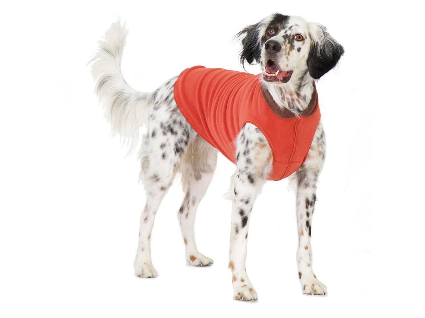 Goldpaw Duluth Double Fleece Paprika/Chestnut Size 6