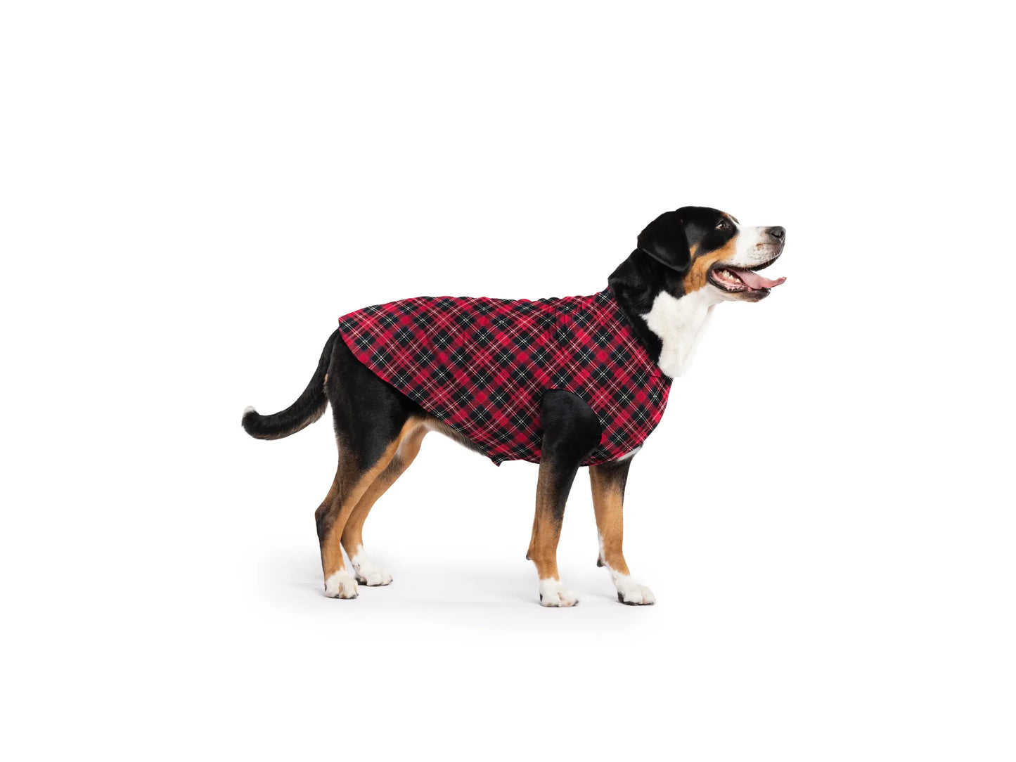 Goldpaw Stretch Fleece - Red Plaid size 6