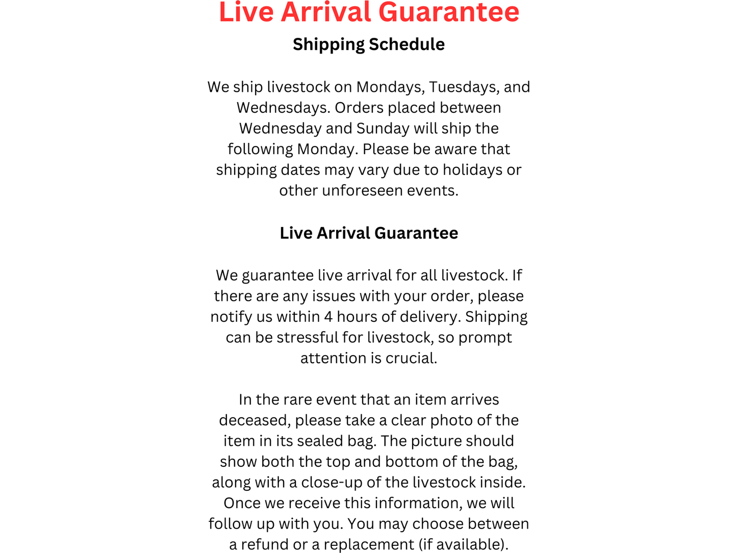 Oranda Thai Goldfish Approx 4-5"