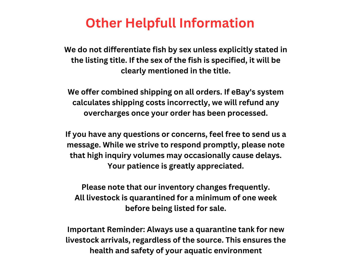 Red Parrot Fish Approx 2.5"