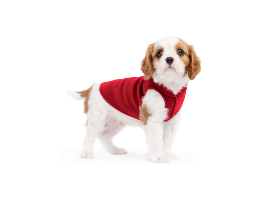 Goldpaw Stretch Fleece - Red size 6