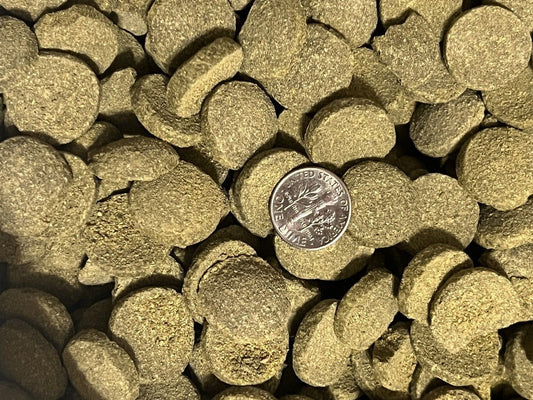 FAT ALGAE TABS WAFERS - For pleco, Snails and other algae eating bottom feeders.